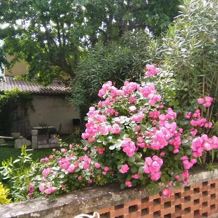Des Dames *